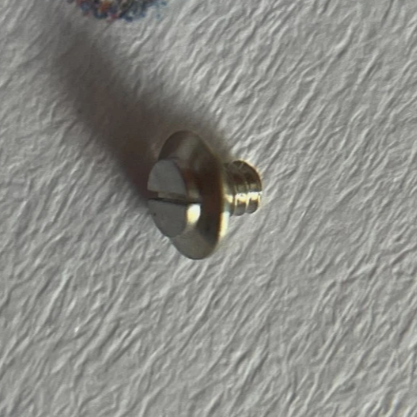 Rolex 3035 - 55053 Screw for Case