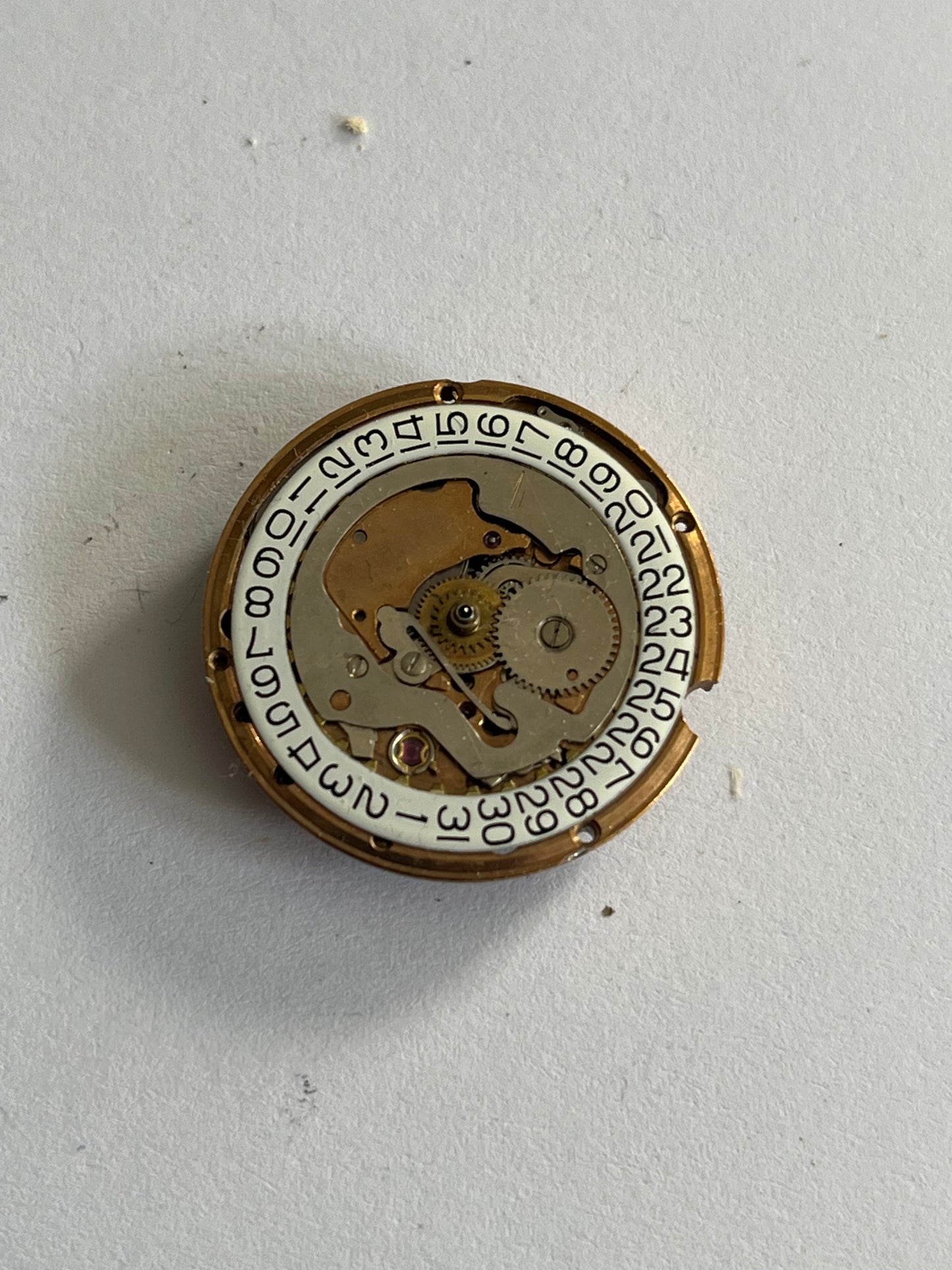 AS 1902/03 Automatic Movement