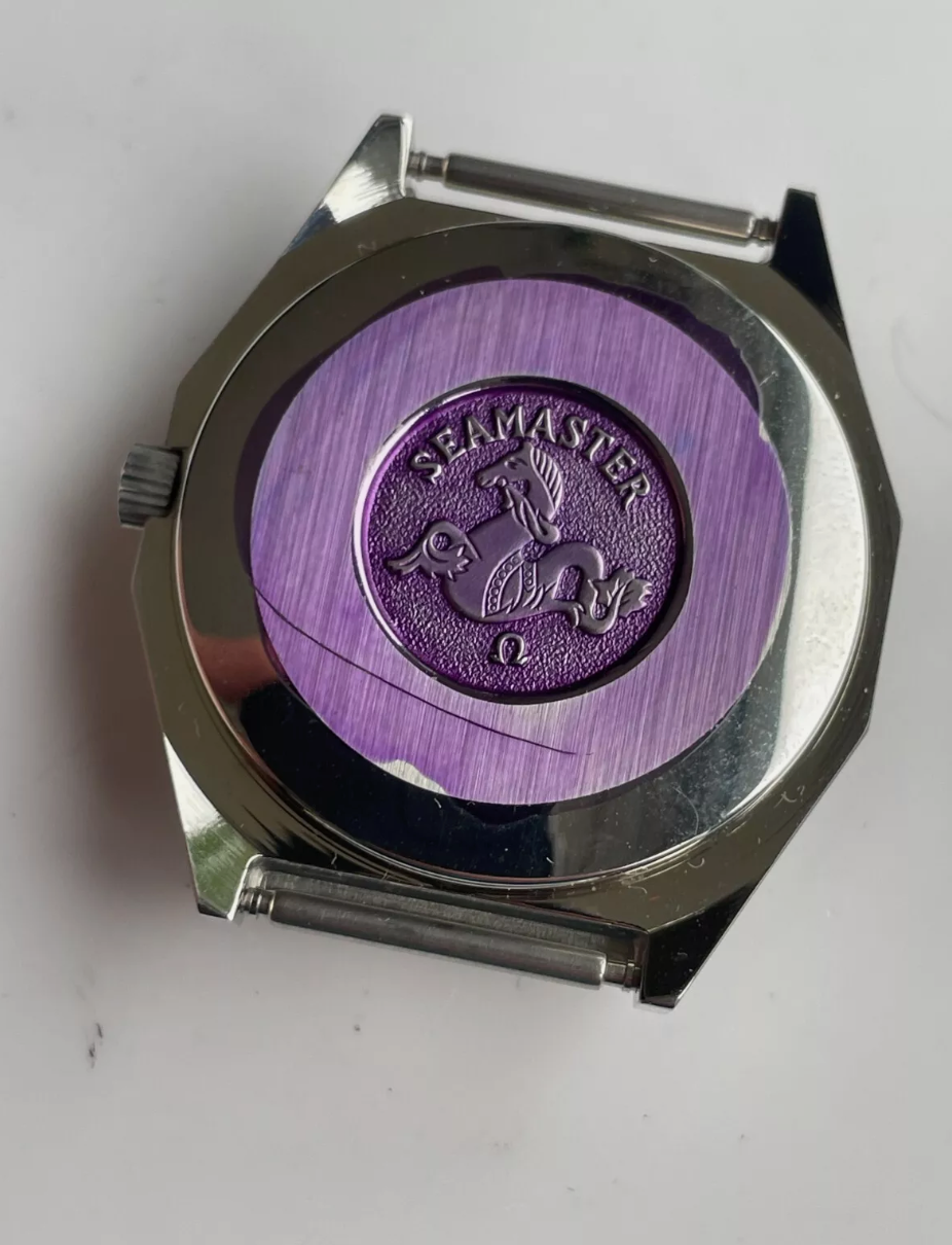 Omega Seamaster 166.0258 Case